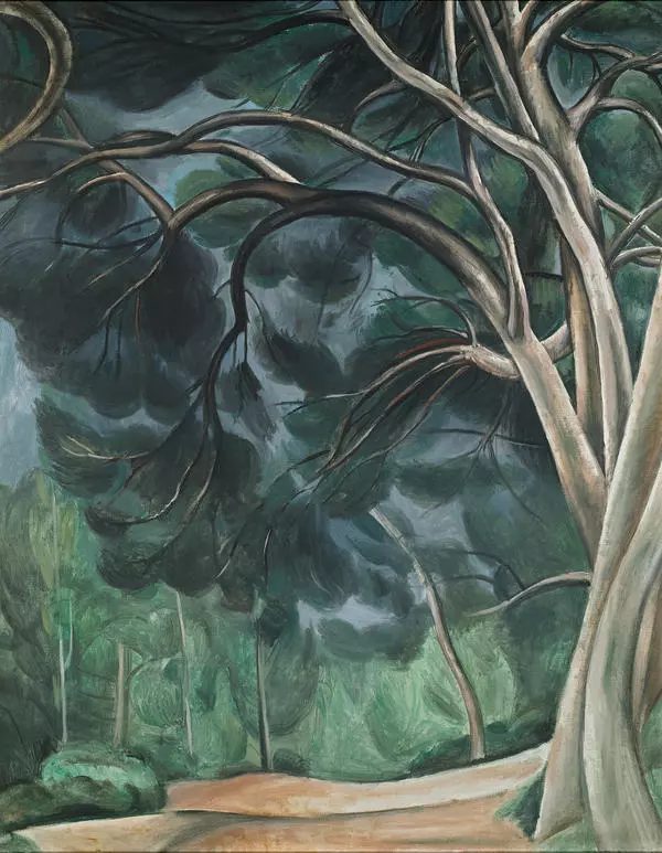 Tree Trunks (Pine Grove)