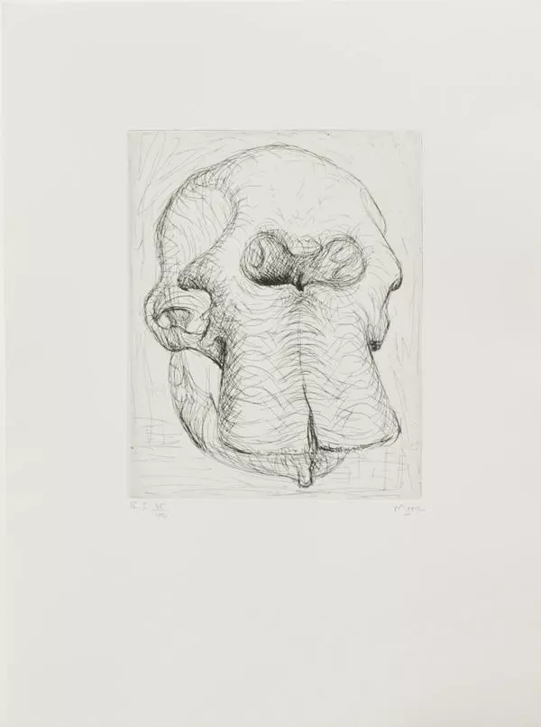 Elephant Skull. Page I