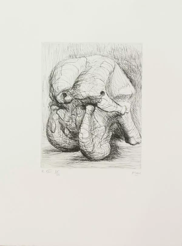 Elephant Skull. Page XXIII