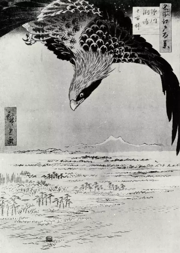 Eagle Over Fukugawa