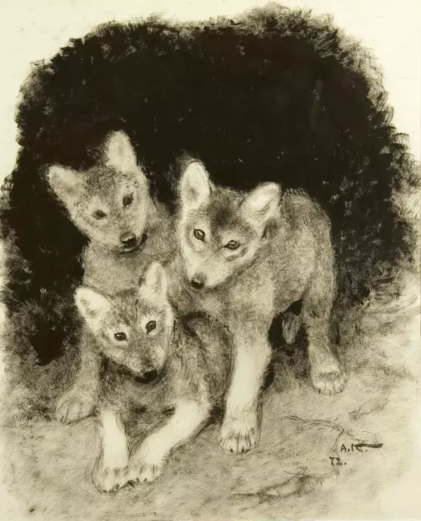 The Wolf Cubs