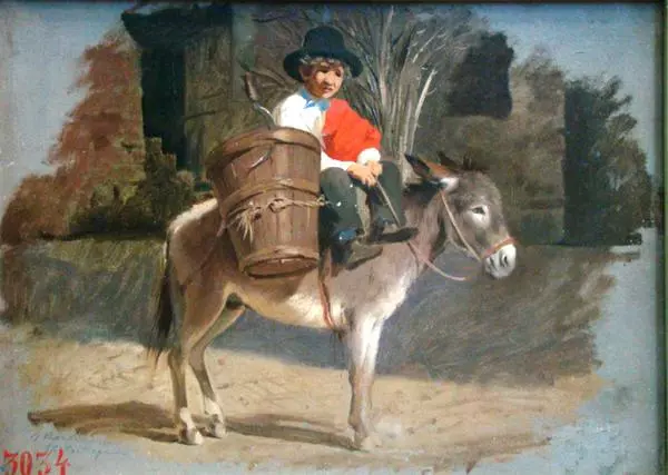 Boy on a Donkey