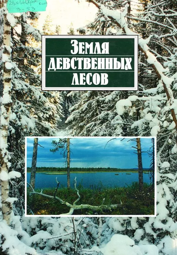 Девственные леса