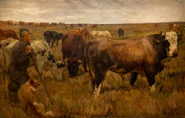 The Herd. On the Pasture