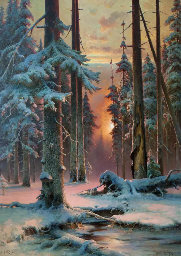 Зимний закат в еловом лесу