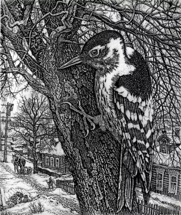 The Woodpecker