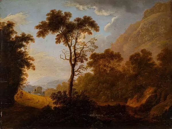 Forest Landscape