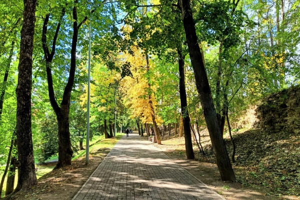 Ботанический сад