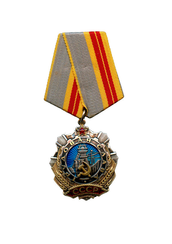 Орден Трудовой Славы II степени № 0566