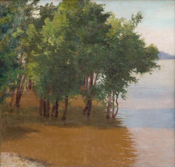 Деревья в воде (Весенний разлив)