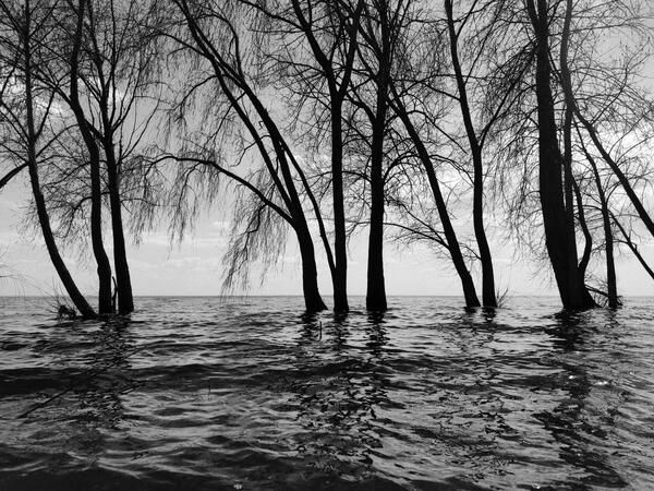 Шёпот большой воды