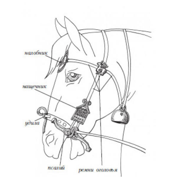 Как нарисовать уздечку на лошади