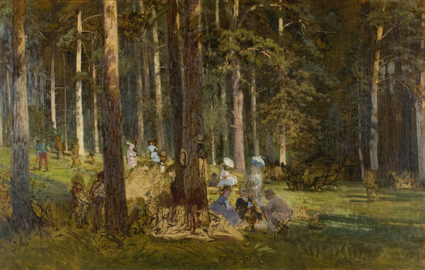 Пикник в сосновом лесу