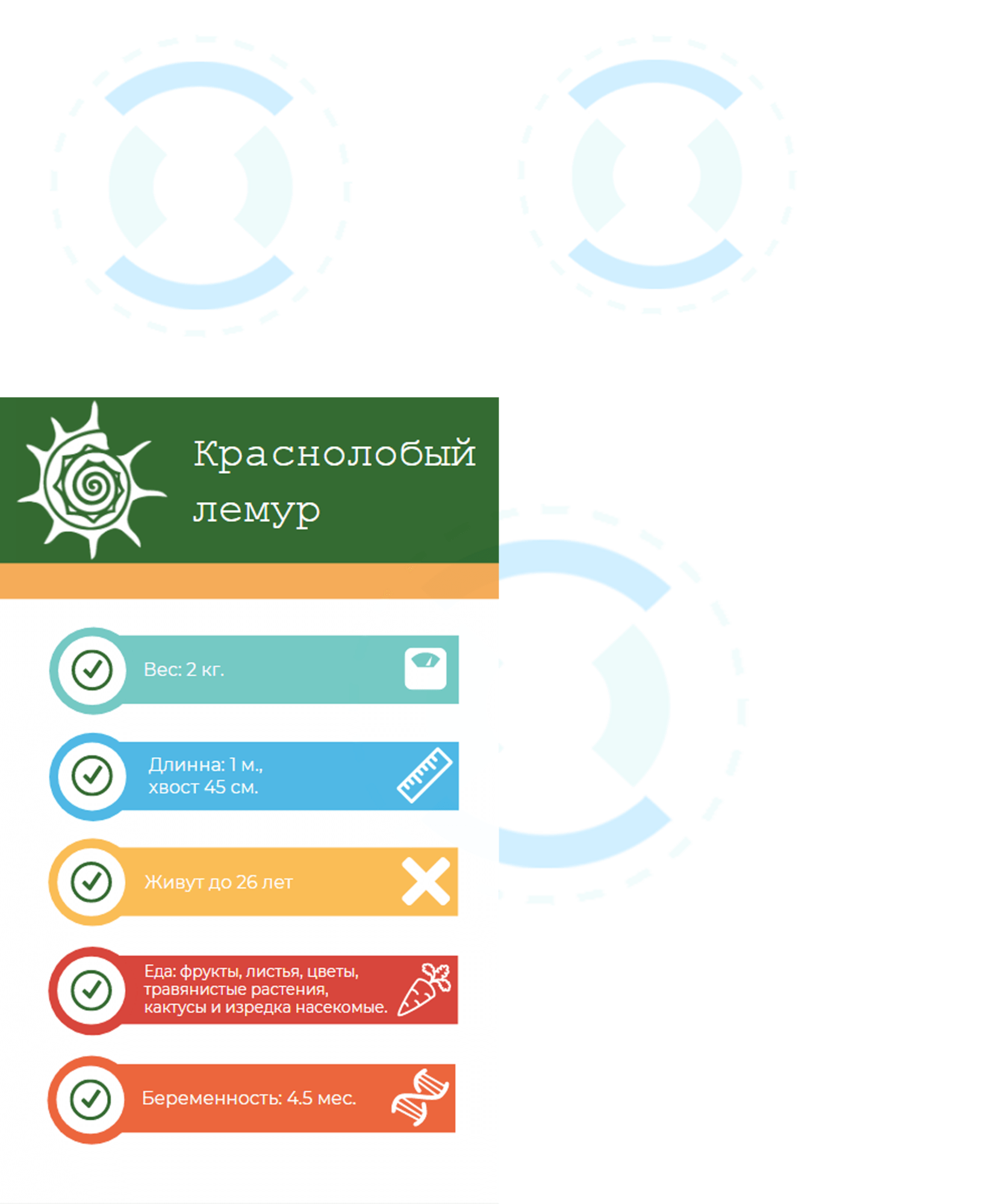 Приложение нацпроект дороги не работает