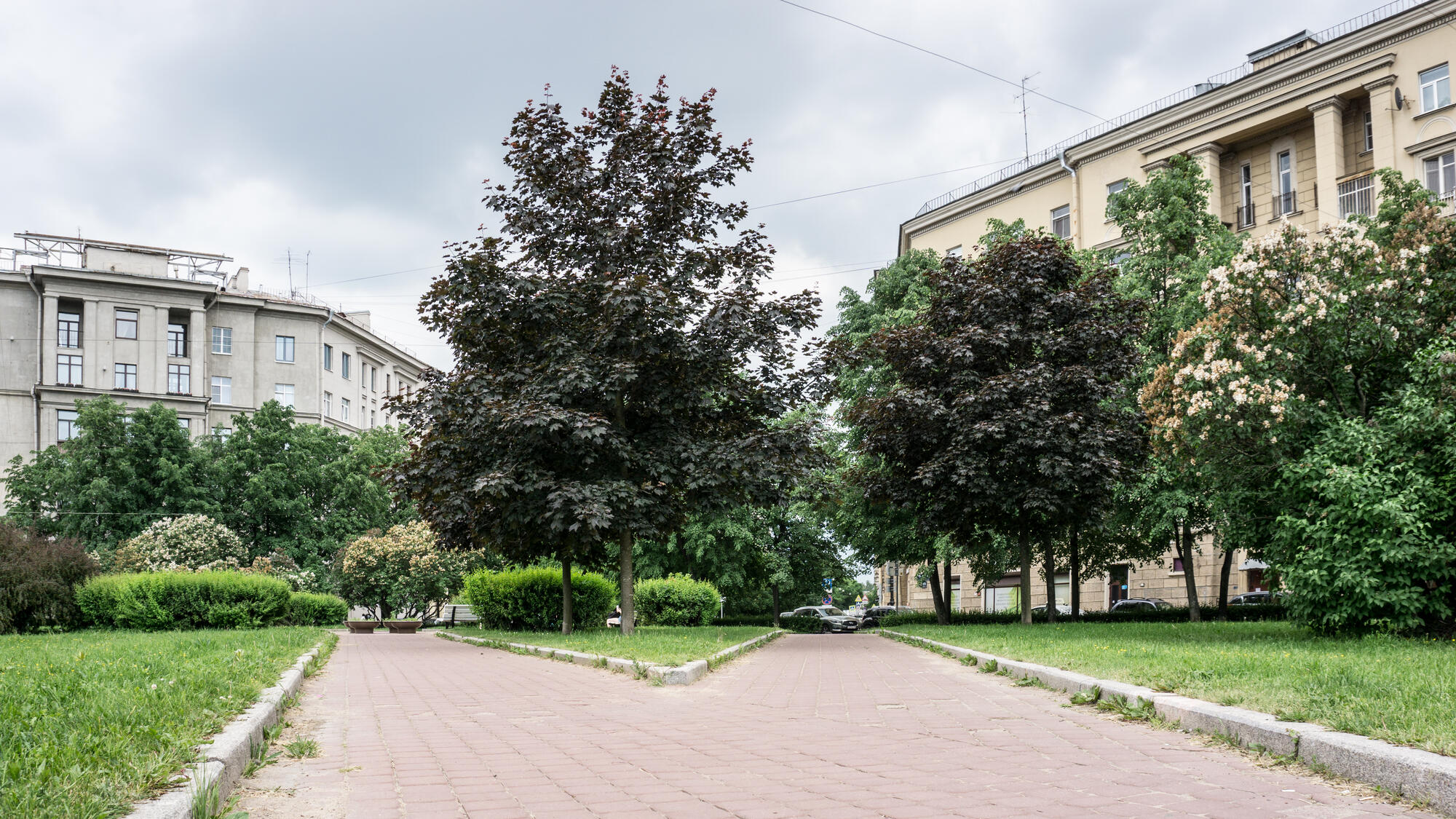 стругацкие дома москвы (95) фото