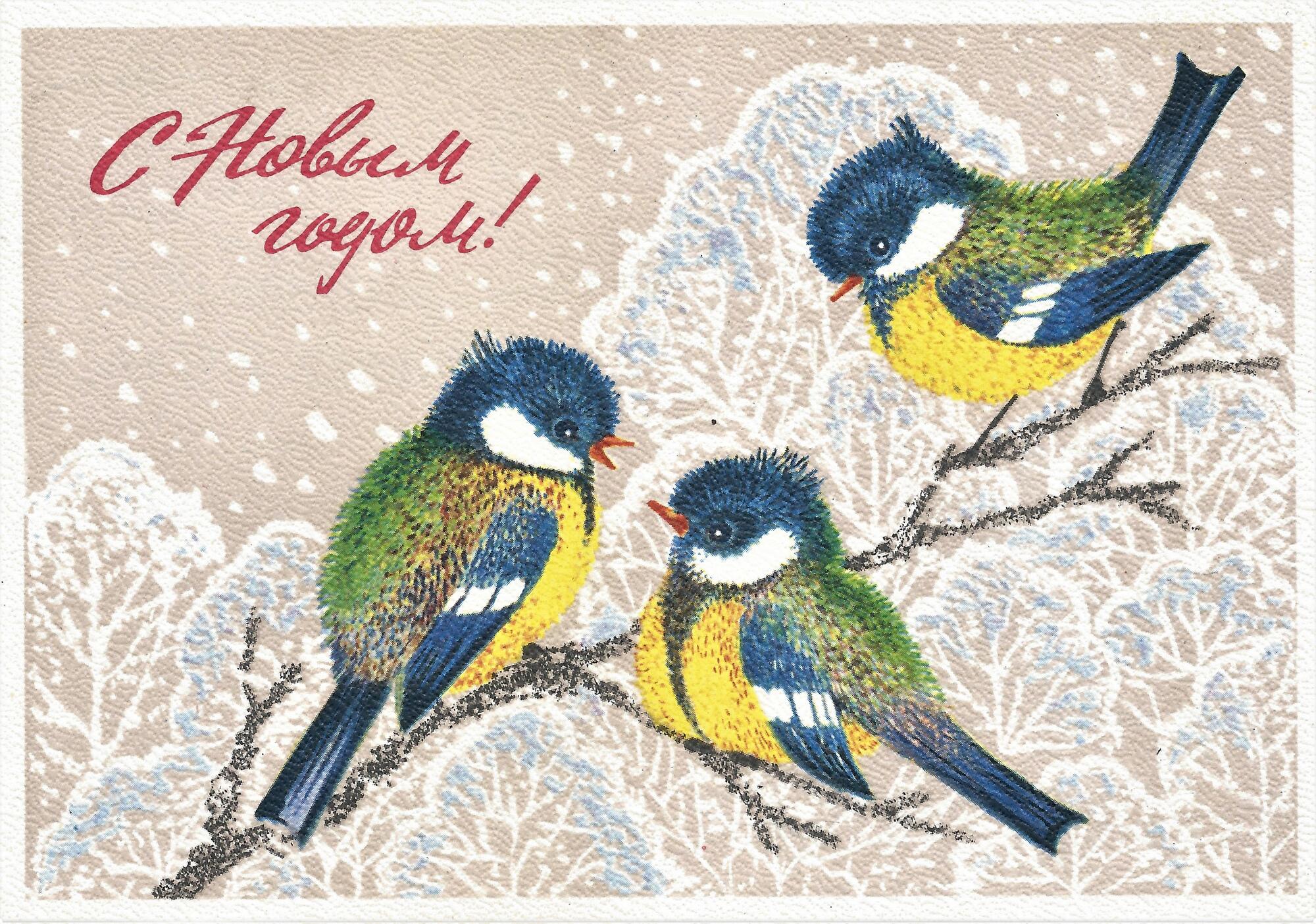 Новогодняя открытка синица