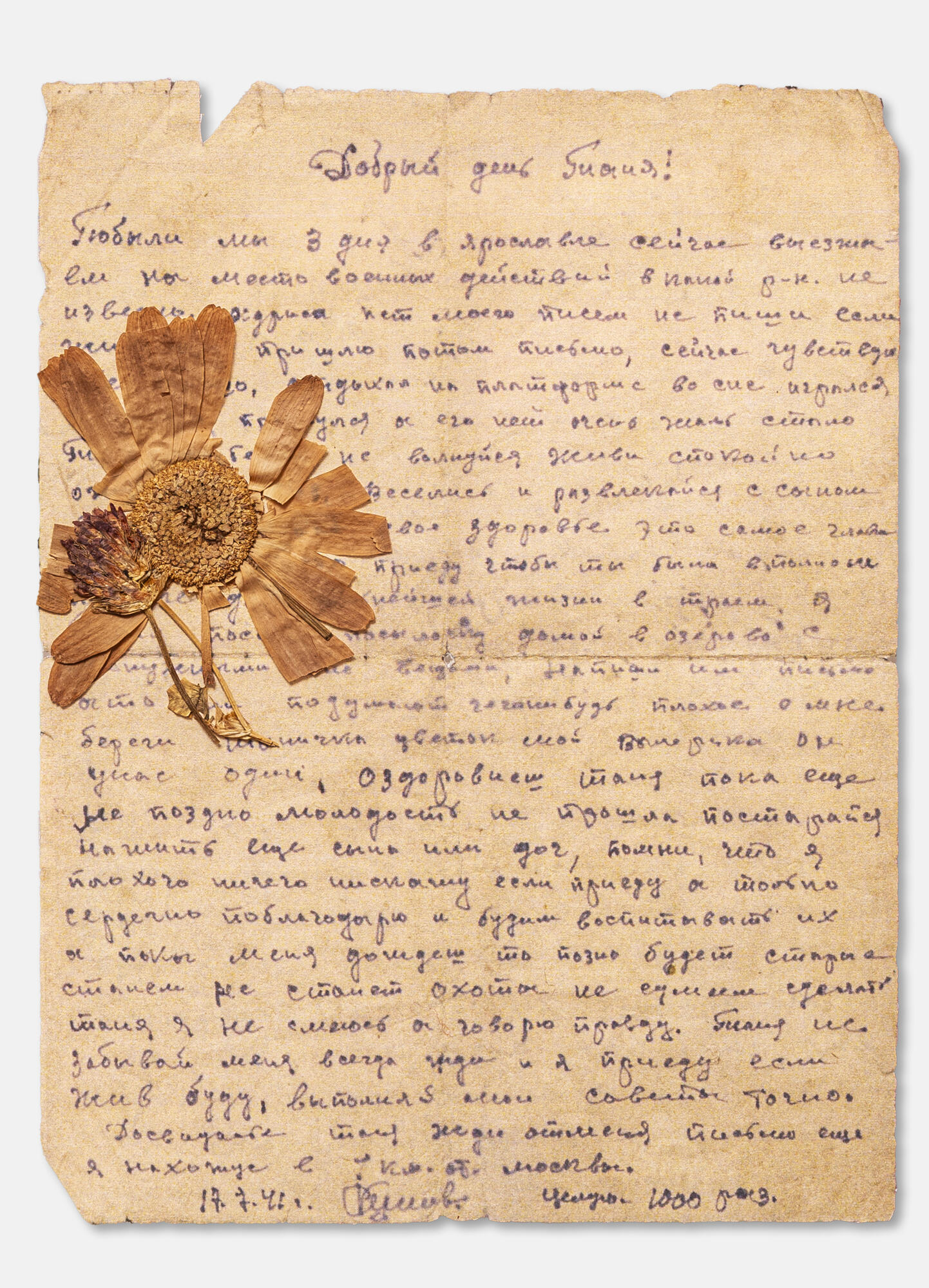 Letter from the front. Подробное описание экспоната, аудиогид, интересные  факты. Официальный сайт Artefact