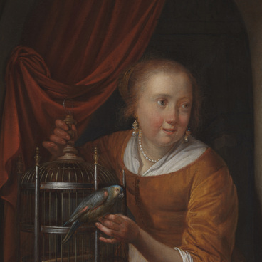 Девушка с попугаем  и клеткой у окна 
