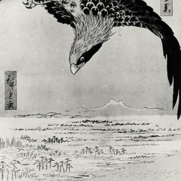 Орел над Фукугава