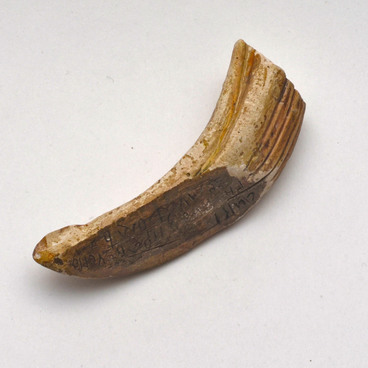 Boar tusk amulet