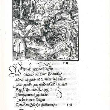 Опасные приключения Тойерданка (1517)