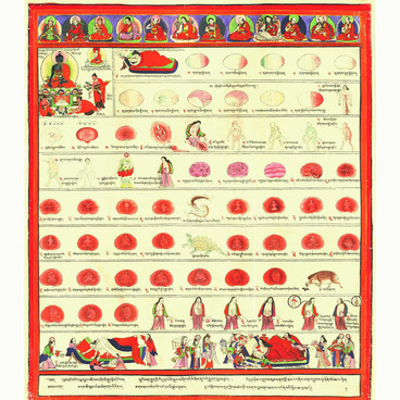 Atlas of Tibetan medicine. Sheet 5