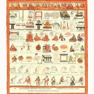 Atlas of Tibetan medicine. Sheet 6