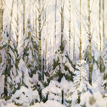 Winter in a forest