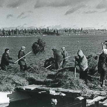 Разгрузка сена в совхозе Верхне-Пуровский