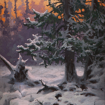 Forest in the Winter 