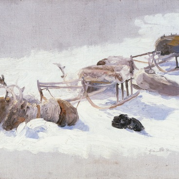 Reindeer during a Break in Tundra