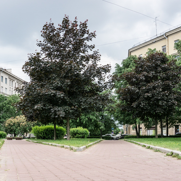 Площадь Братьев Стругацких
