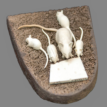 A mouse with four young mousekins on a bread