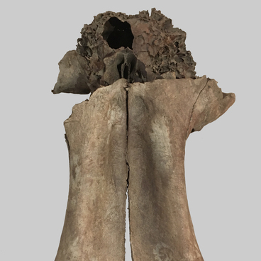 Фрагмент черепа мамонта