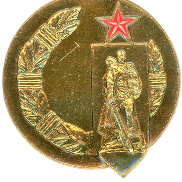 Почетный знак СКВВ