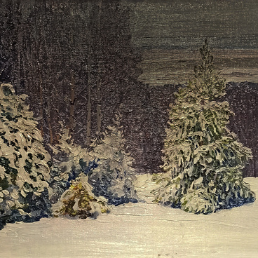 Surroundings of the Country House in the Winter