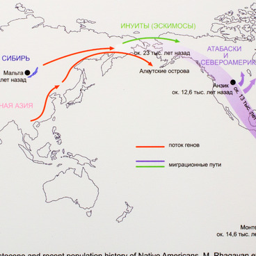 Map of Early Human Migration