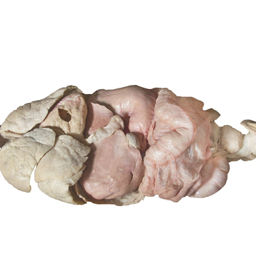 Complex of human body organs specimens