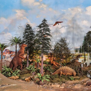 Cretaceous Period