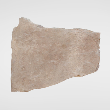 Slab with an image of a bull
