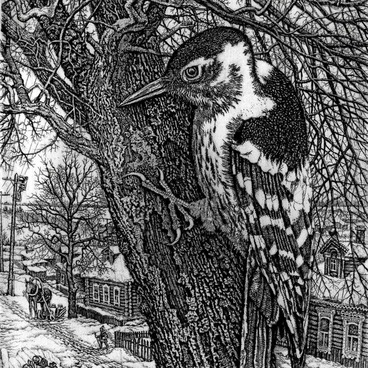 The Woodpecker