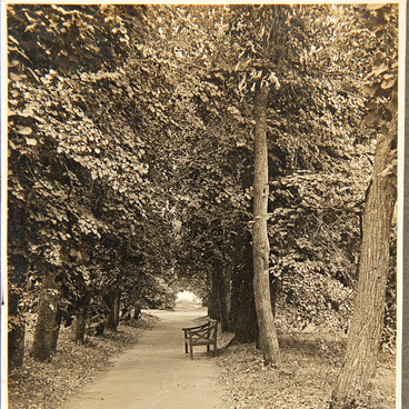 Photo of the Boratynsky Park in Ilyinovka