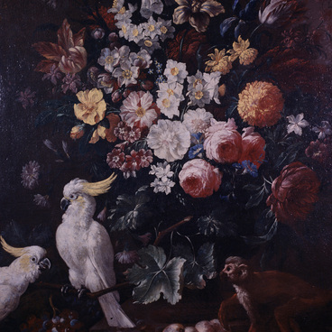 Still Life With Cockatoo