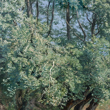 Оливковые деревья у фонтана Ариччи