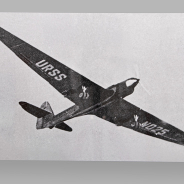 The ANT-25 plane