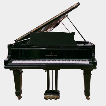 Grand piano of Nikolai Petrov