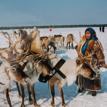 Reindeer Breeder’s Day