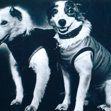 Belka and Strelka — space dogs