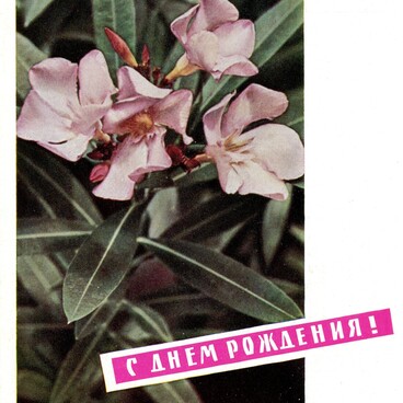Поздравительная открытка