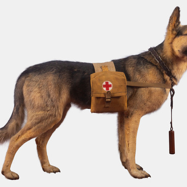 Stuffed ambulance dog